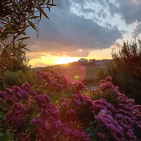 Bed & Breakfast Bricc E Foss San Desiderio (Asti)
